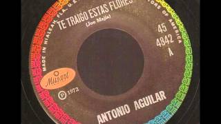 Antonio Aguilar, Una Estellita Lloro chords