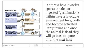 General Biology 2 - 27 Bacteria and Archaea - Flashcards