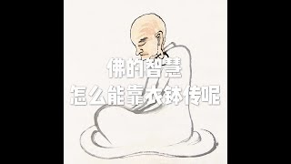 201712 佛的智慧怎么能靠衣钵传呢22873