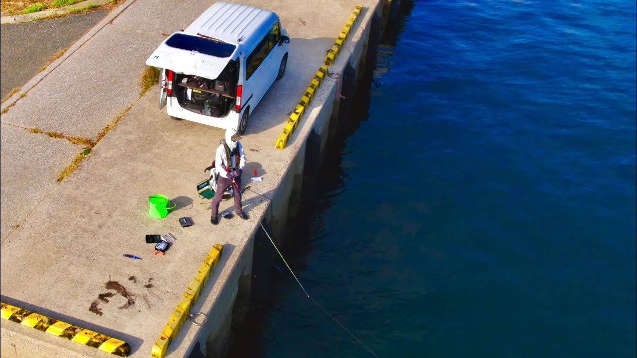 【穴場】大物が次々と回遊してくる漁港がアホみたいに釣れる。。