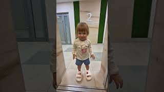 Cat Mode Magic Turning Ordinary Into Extraordinary Mews