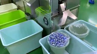 Flip-Off Cap Assembly Machine 45000pcs per minute assembler equipment
