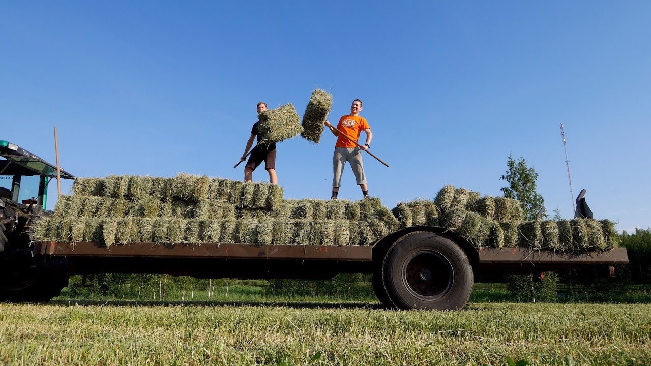 Heinähommissa 2020