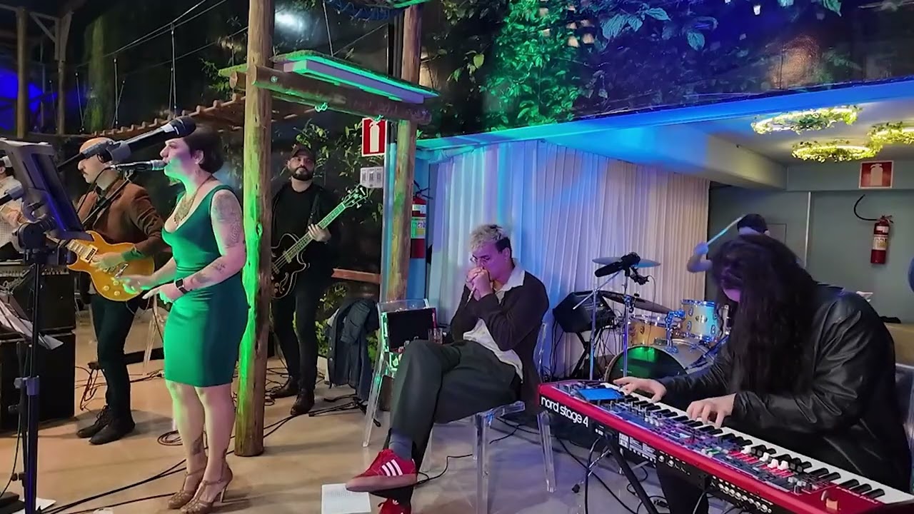 BONNIE RAITT - COMING HOME