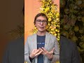 Корпоративы уже во всю шумят, хочется делиться теплом. С наступающими праздниками, друзья!