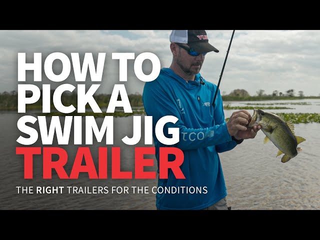 Top 5 Swim Jig Trailers / Get Better at Swim Jig Fishing – The Minimalist  Fisherman