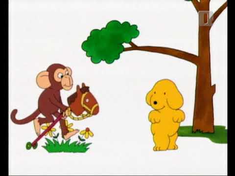 Piki - Konj