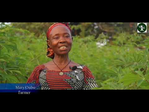 Boki Women On The Leading Edge To End Illegal Logging