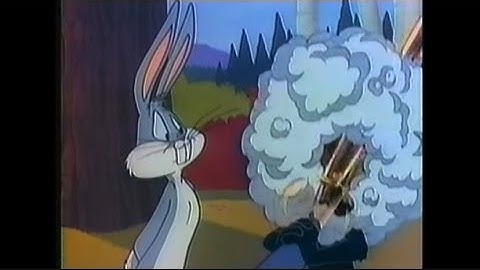 Cartoon Network - The Bugs & Daffy Show Bumpers (1998)