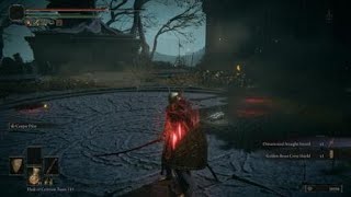 Elden Ring - Getting revenge on the Grafted Scion in NG+1