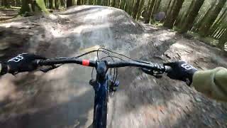 Popty Ping blue run at Bike Park Wales #bikeparkwales #PoptyPing