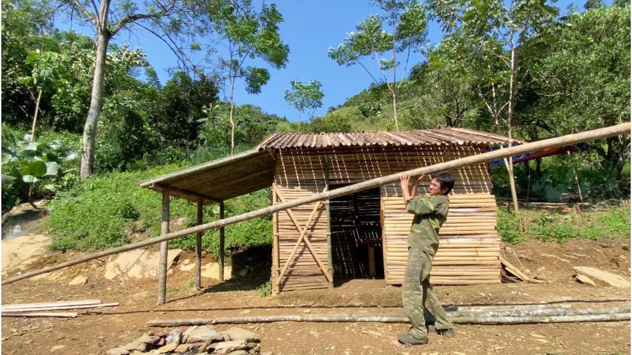 живу один в лесу, рублю бамбук, чтобы построить кухню и ремонтировать крышу в дождливые дни