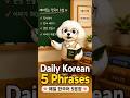 Topik warrior. Daily 5 phrases.
