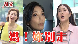 願望 EP241預告 麗君決定遠走高飛 冬雨放下恩怨想挽回媽媽！｜@setdramatw​