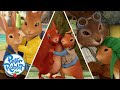 OfficialPeterRabbit A Lot To Be THANKFUL For Show Gratitude Cartoons For Kids 