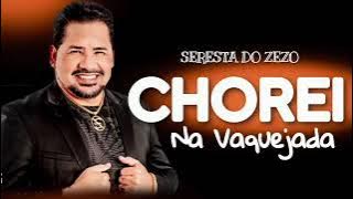 ZEZO POTIGUAR - CHOREI NA VAQUEJADA - CD NOVO COMPLETO 2023 - BIEL ESTOURADO