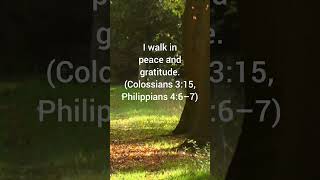 Do you walk in gratitude?     #music  #peace #jesus #god #youtubeshorts #gospel #worship #praise