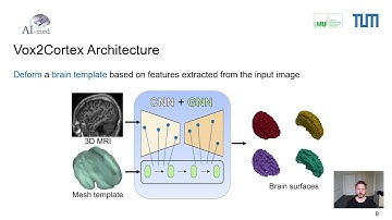 Vox2Cortex - CVPR 2022