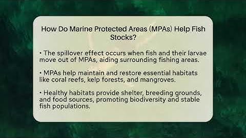 How Do Marine Protected Areas (MPAs) Help Fish Stocks? - Ecosystem Essentials