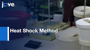 Transformation: Plasmid DNA Into E. coli Using Heat Shock Method l Protocol Preview