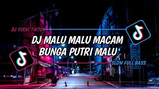 DJ MALU MALU MACAM BUNGA PUTRI MALU SPEED UP SOUND YusriL VIRAL TIK TOK TERBARU 2023