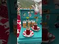 أجواء خرافية في خريف صلالة جلسة فاخرة وطبيعة ساحرة عمان اكسبلور Explore صلالة ظفار أجواء خرافية في خريف صلالة جلسة فاخرة وطبيعة ساحرة عمان اكسبلور Explore صلالة ظفار
