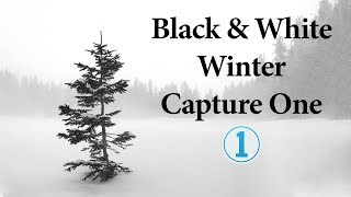 Edit Winter Black and White Photos in Capture One 12 | Capture One Promotion