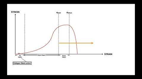 The Stress-Strain Curve EXPLAINED [for Ligaments & Tendons]