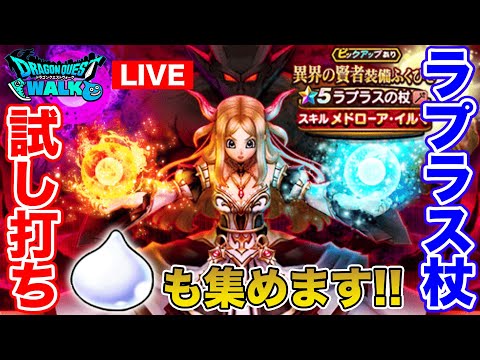 【ドラクエウォーク】スライムスノー集めてラプラス試し打ちもやります!!【DQW】