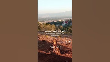 قران كريم ارح قلبك وسمعك #قران_في_دقيقة #quran #اسلام_صبحي #قرآن @قران_في_دقيقة