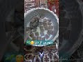 سهم شما چقده