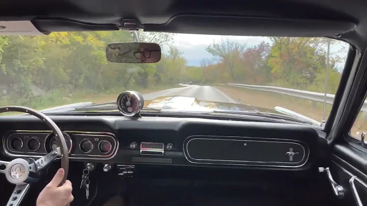 1966 Shelby GT350 Serial# SFM6S1956 for BringATrai...