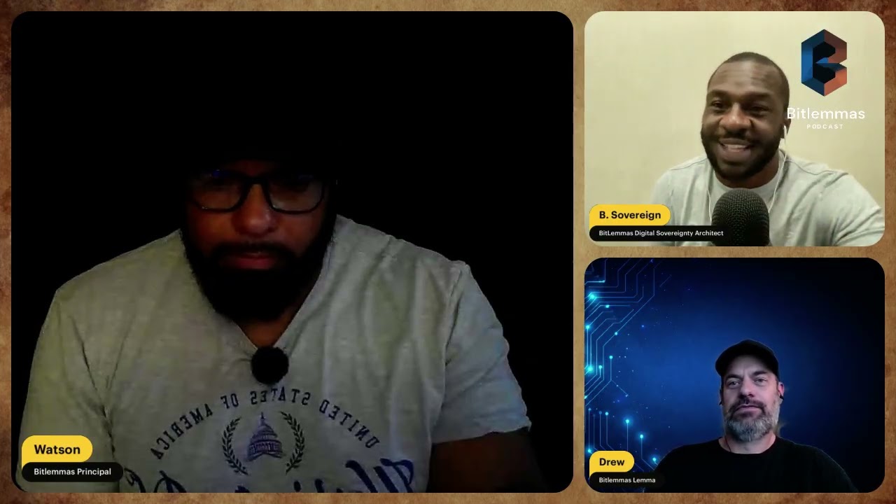 The Bitlemmas Podcast | The Democracy Project The Bitlemmas Podcast | The Democracy Project