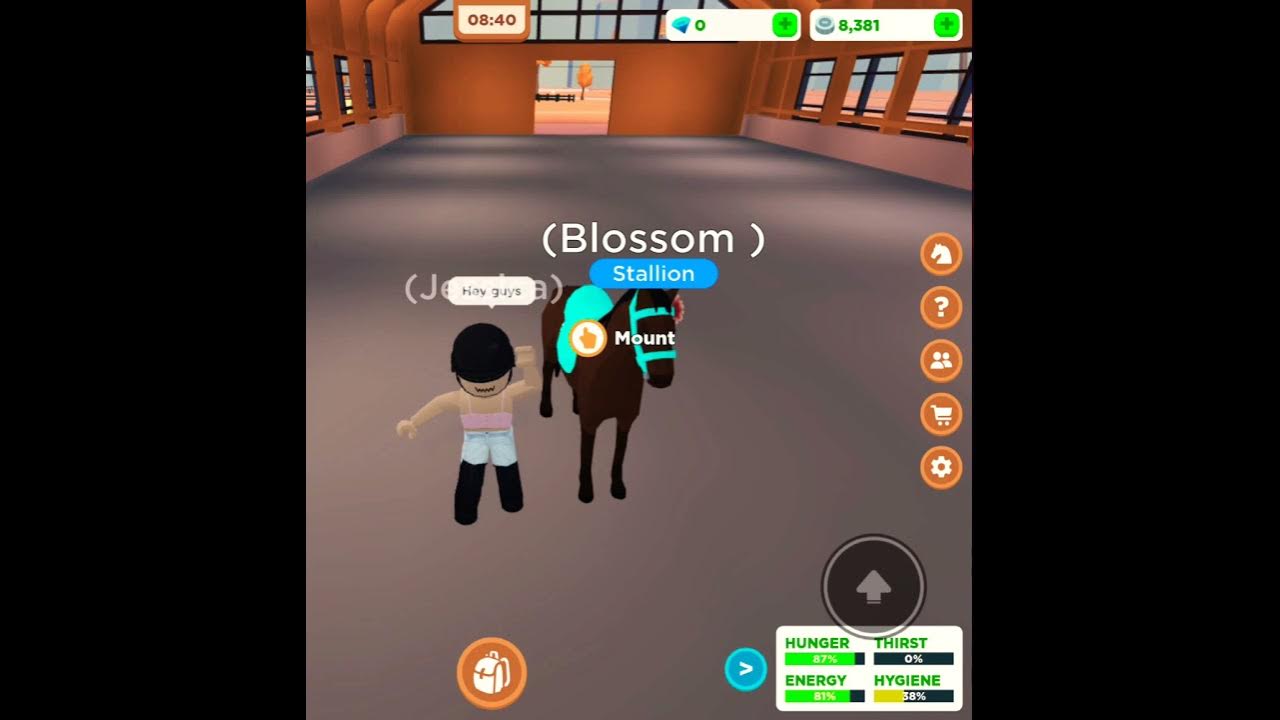 Getting a new horse in horse valley YouTube