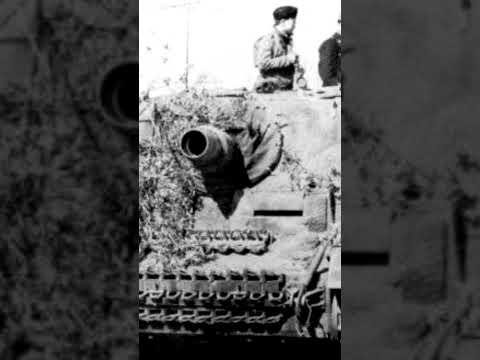 Видео: САУ Sturmpanzer IV «Brummbar»