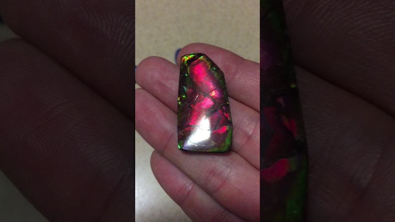 Аммолит 1 - YouTube