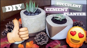 DIY Succulent Planter