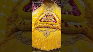 #song #shyam #bhajans #bhakti #shyamjibhakti #live #love #shreekhatushyamdelhidham