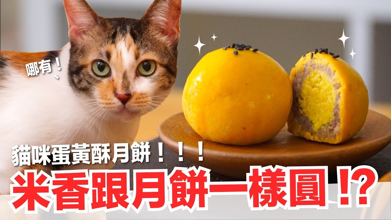 米香跟月餅一樣圓！？中秋特製貓月餅蛋黃酥！【貓副食食譜】好味貓鮮食廚房EP162