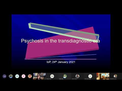 Psychosis Studies Meeting -  What does psychosis mean in the transdiagnostic era?