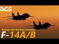 DCS : F-14 Movie | Playing with the Boys (remake)