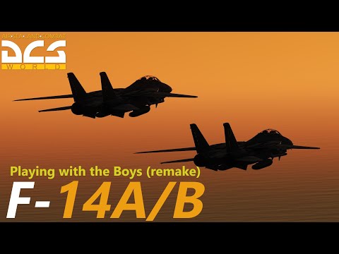DCS: F-14 Movie