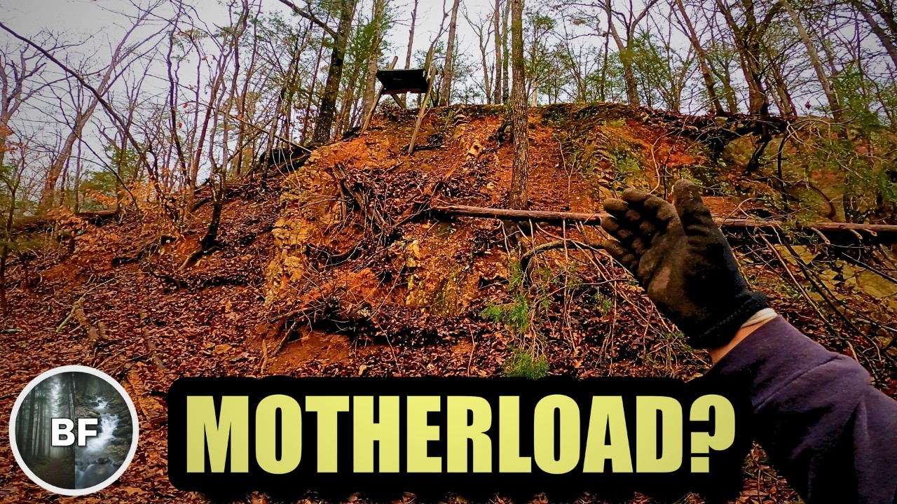 A Walk That Turned Into a Jackpot — Bottles, Privy Digging, and More