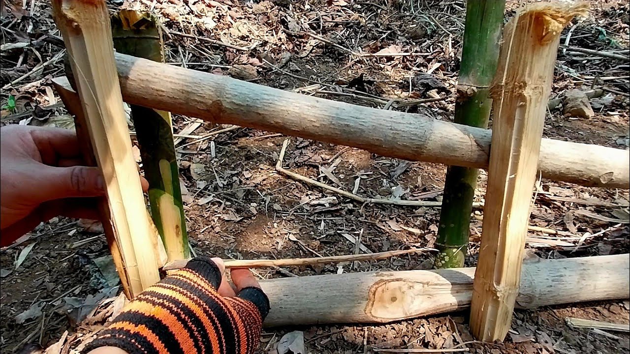 คุณจะอยู่รอดในป่าด้วยกับดักสัตว์วิธีทำกับดักสัตว์แบบสับแบบละเอียดเข้าใจง่ายดูจบทำตามได้เลยง่ายที่สุด