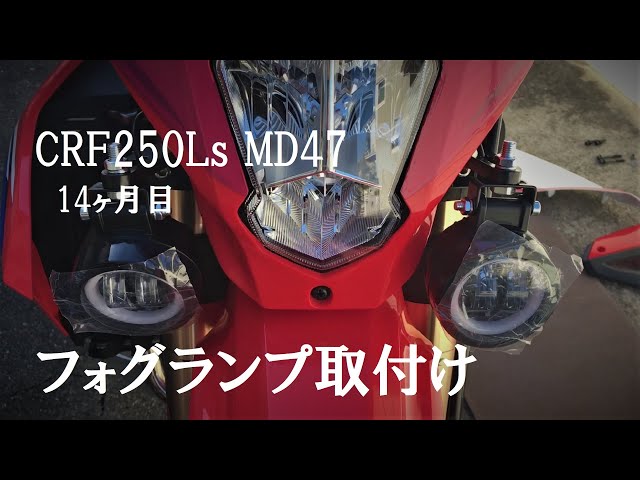 ZETA crf250L md47 フォグランプ 【公式通販】