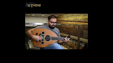 عود خشب كوكو بولو عود محمد كمال رقم 2348 