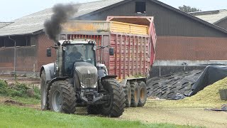 Fendt 936 Vario putting out smoke on the duty | Pure Sound | Corn Silage Season - Maisernte