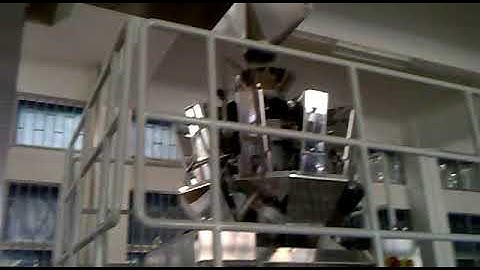 [TOUPACK] 10 head multihead weigher + packaging machine 800g Rice