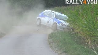 Rallye de la Plaine 2015 [HD]