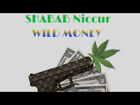 SHABAB NICCUR - WILD MONEY (official audio)